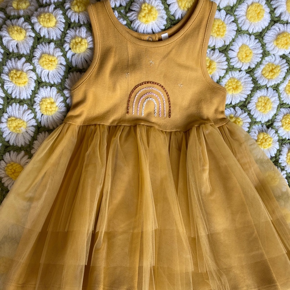 Wild wawa rainbow tutu dress 2-3